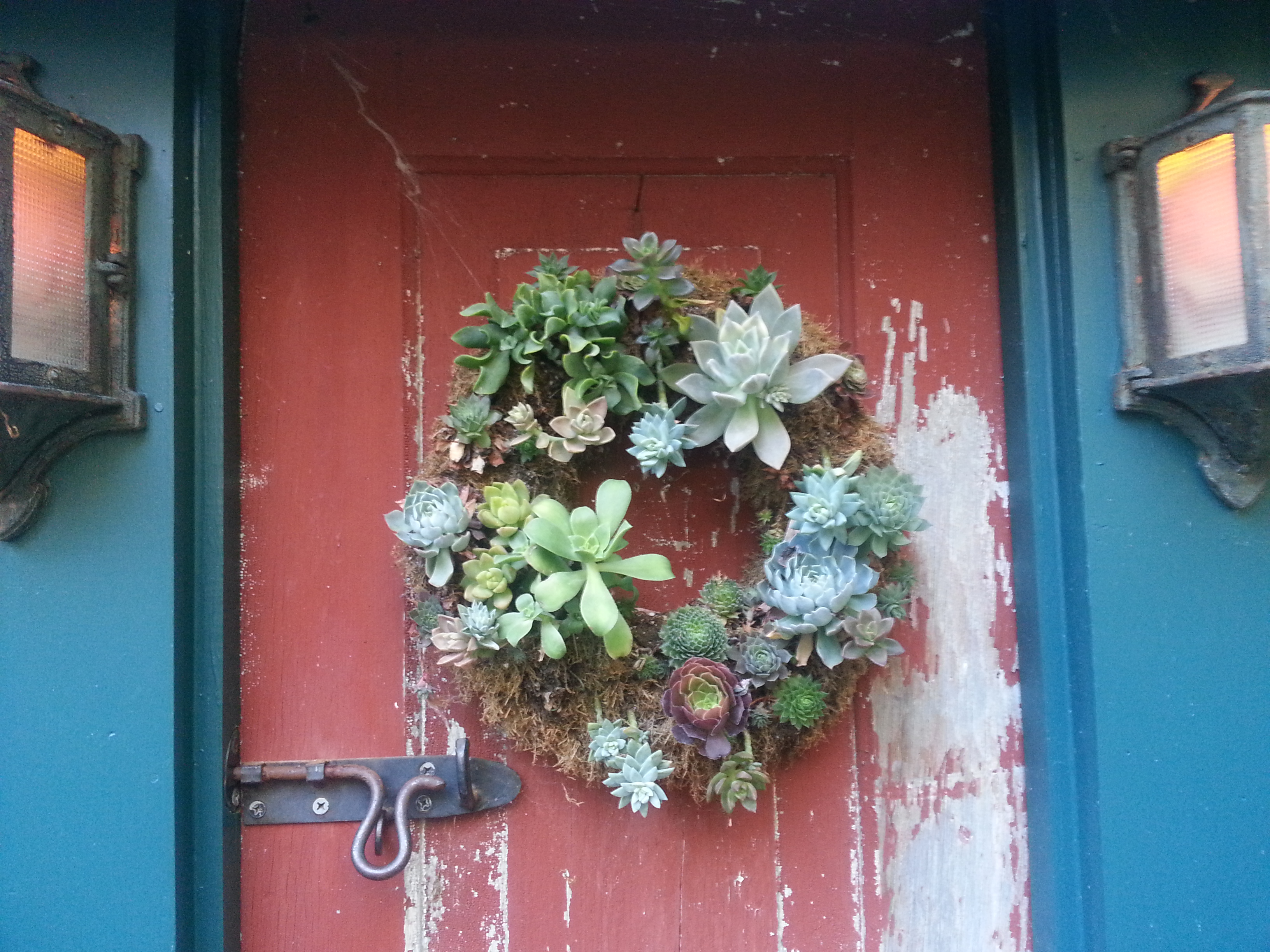 Seasonal Wreath